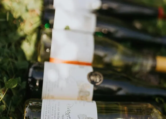 דירה Haus Ambiente רייל