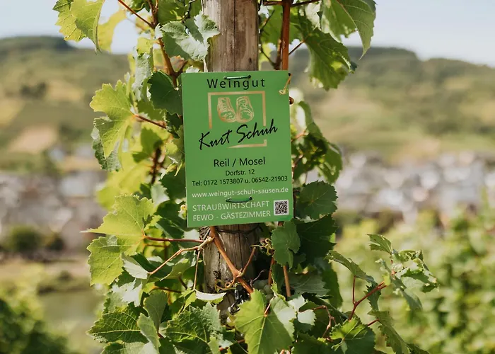 דירה Haus Ambiente