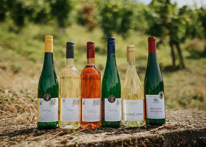 Haus Ambiente רייל